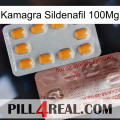 Kamagra Sildenafil 100Mg new13